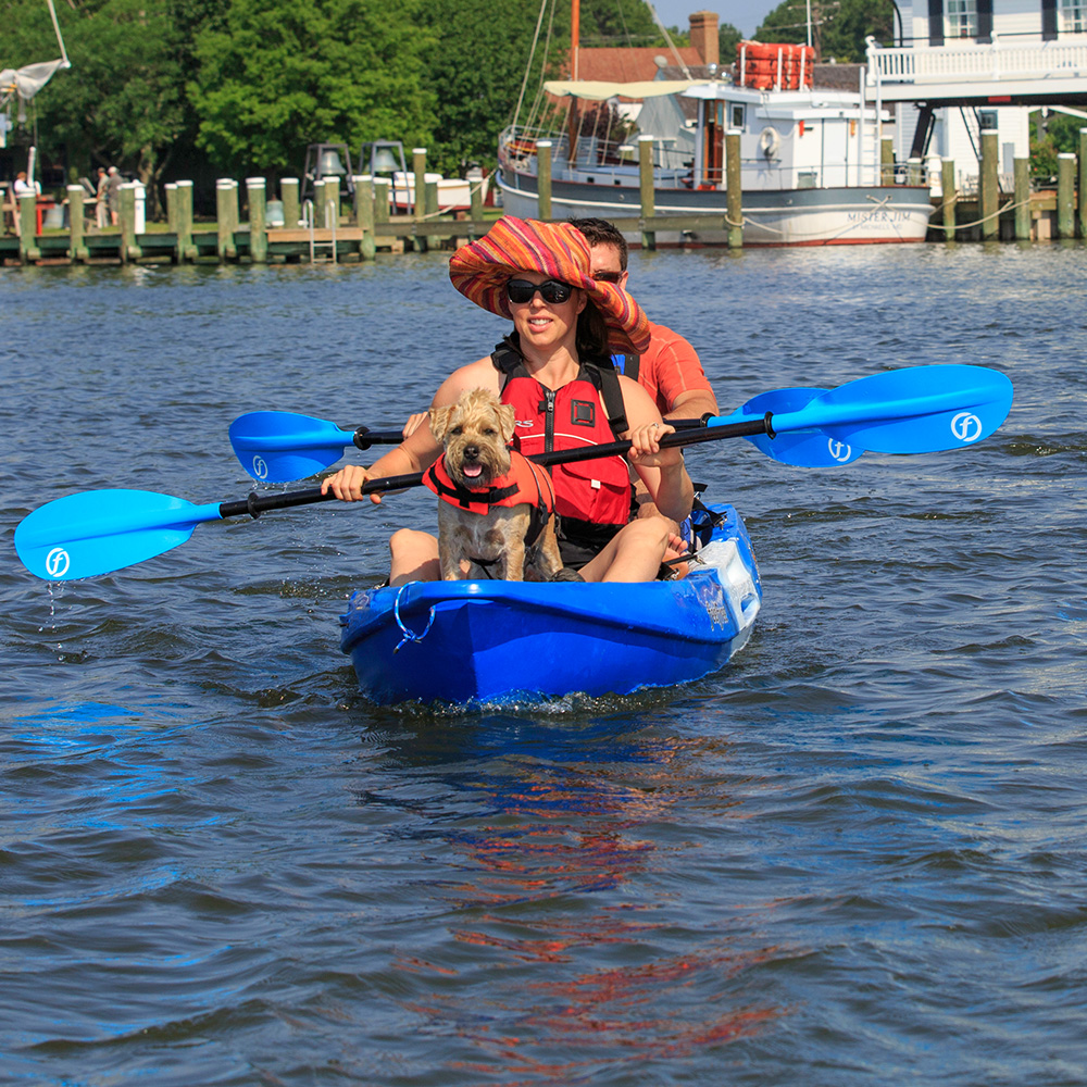 dog kayak water